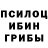 Галлюциногенные грибы GOLDEN TEACHER dr. dundun