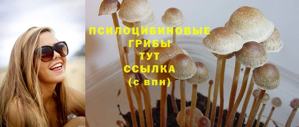 экстази Бородино