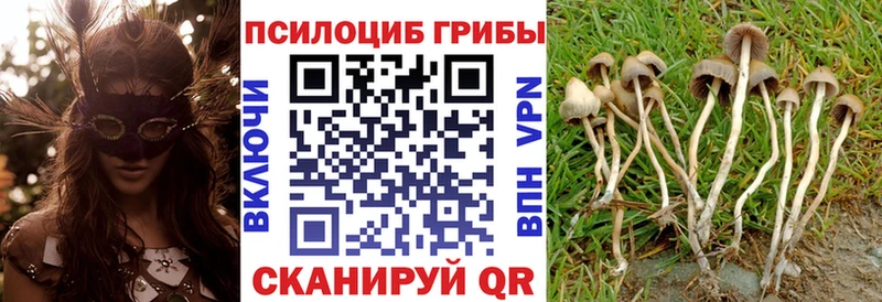Галлюциногенные грибы прущие грибы  Тбилисская 