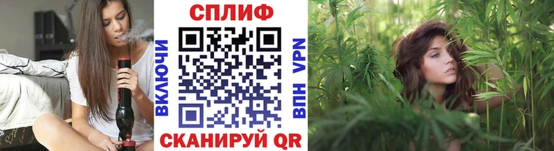 где можно купить   Тбилисская  МАРИХУАНА VHQ 